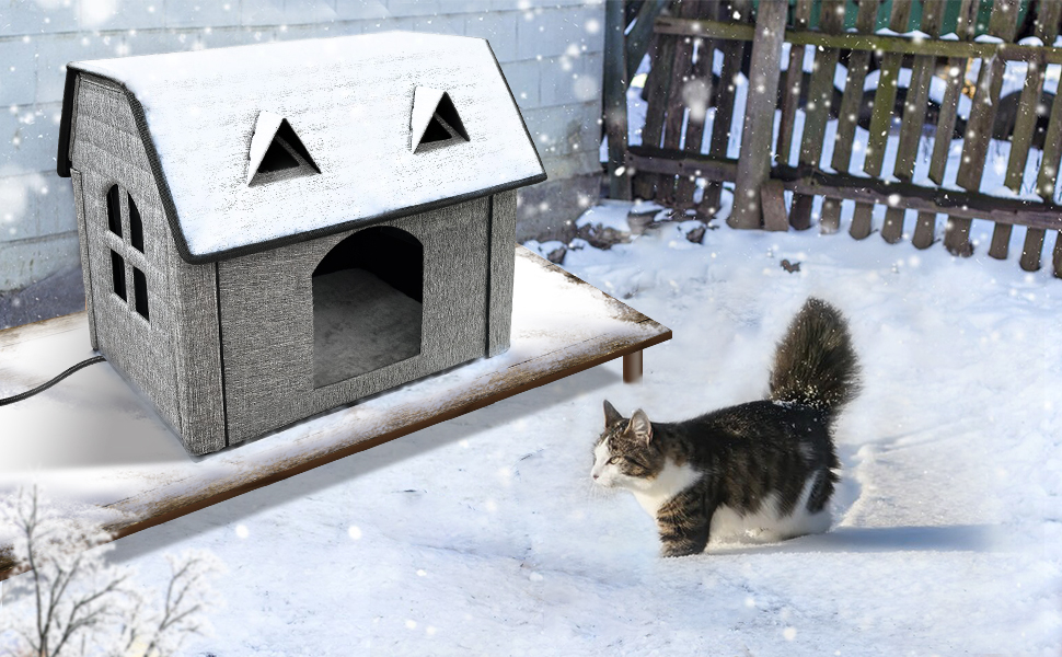 Stray pet house