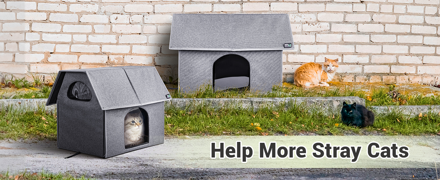 cat house winter 8