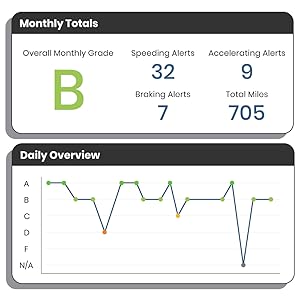 Daily Drivers Report Card