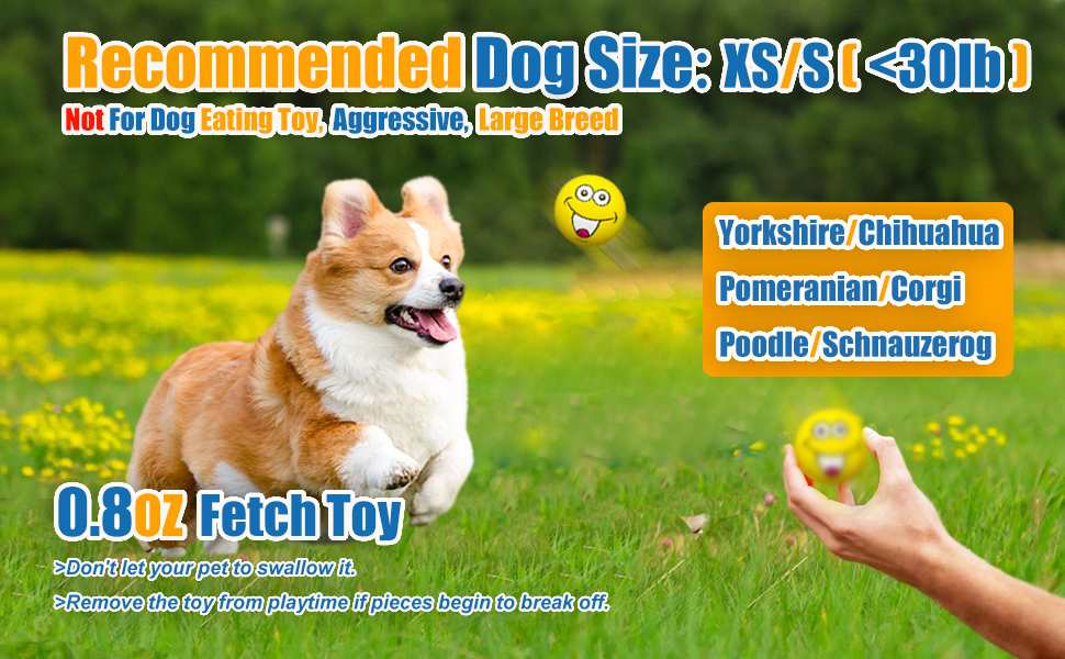 squeaky dog toys for small dogs