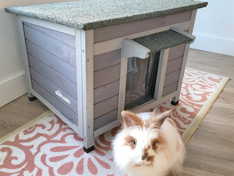heated cat house