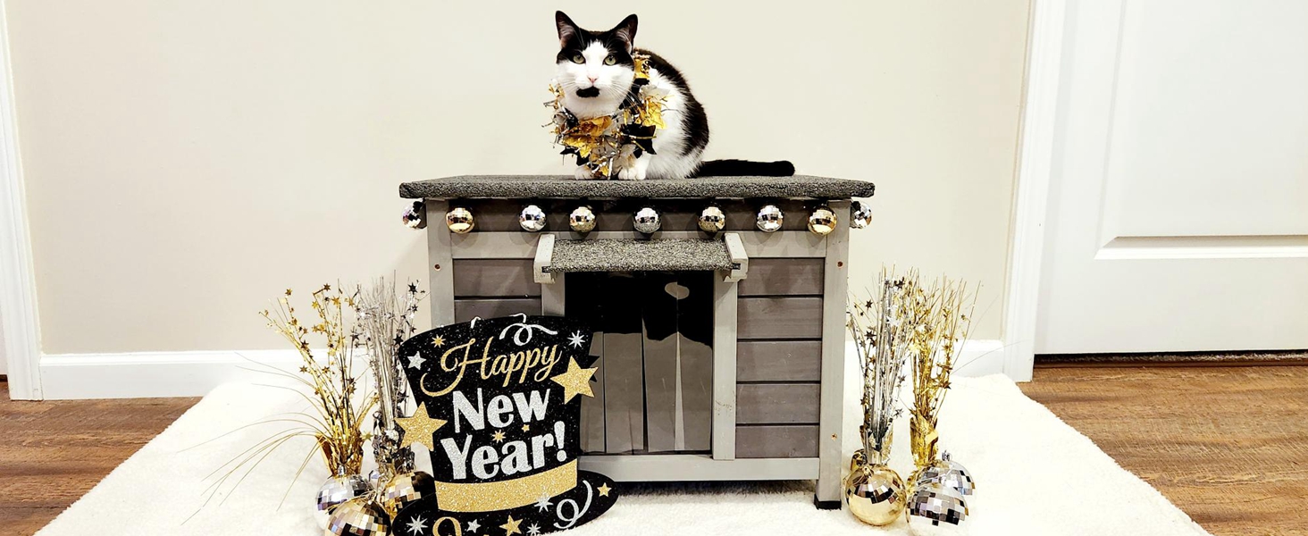 cat house