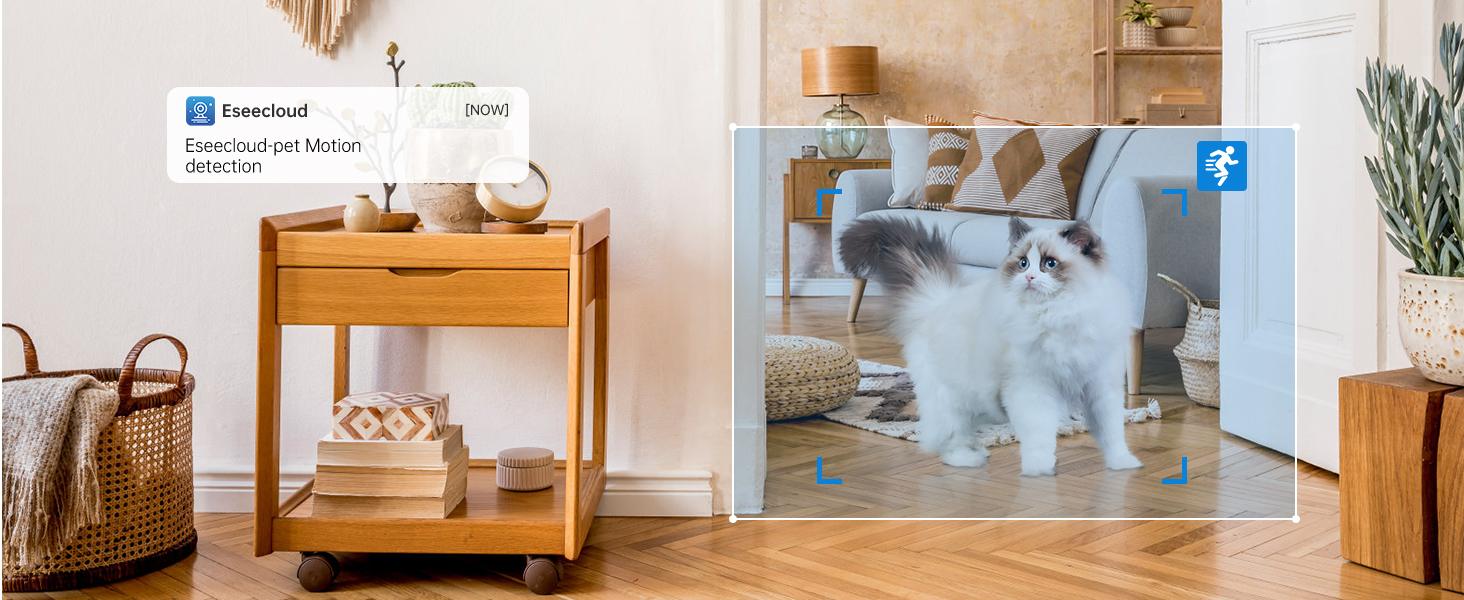 home security cameras