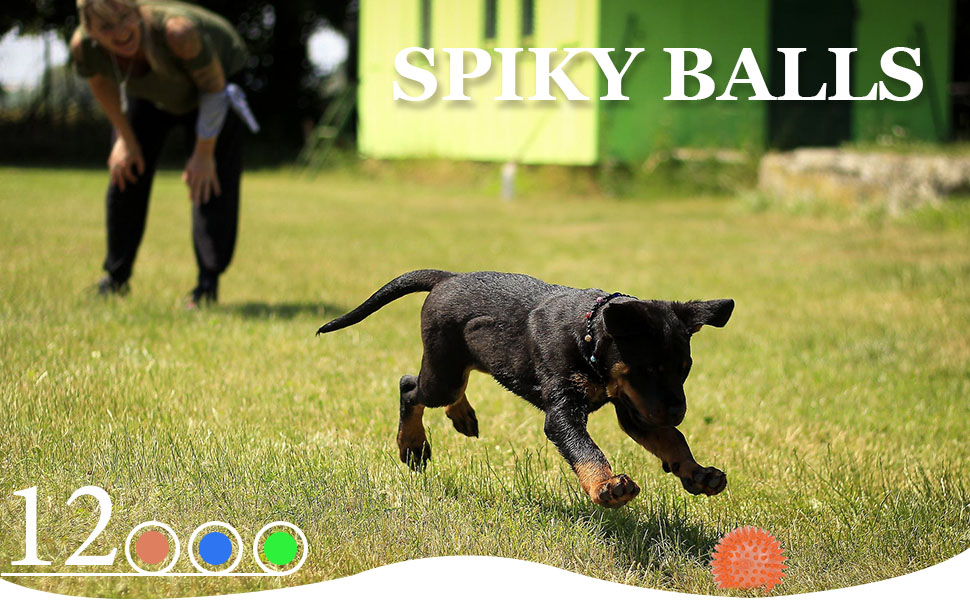 dog balls