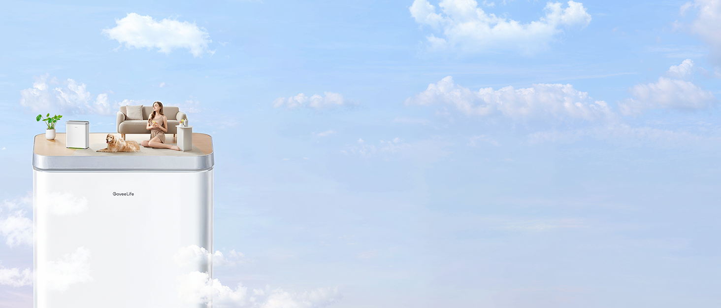 Air purifier
