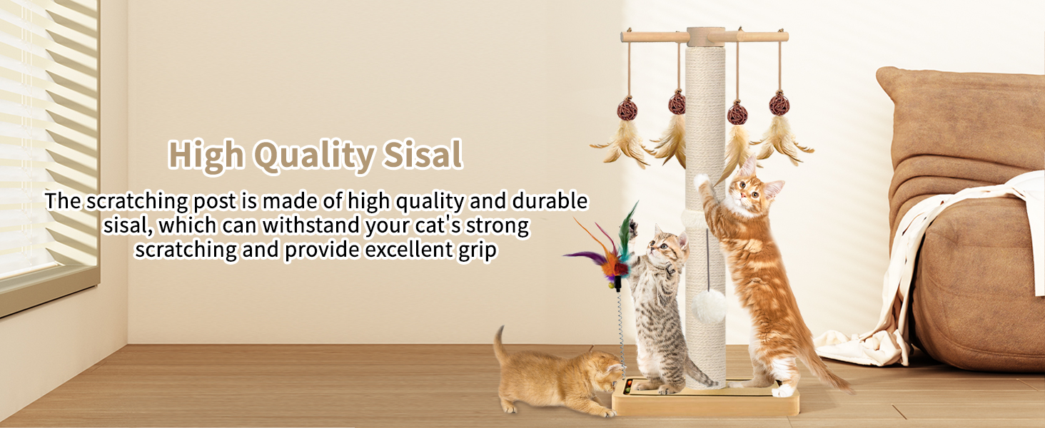 cat scratching post