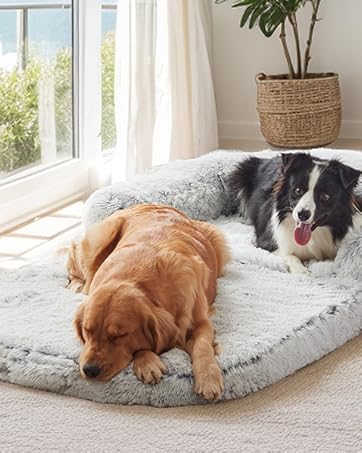 human dog bed