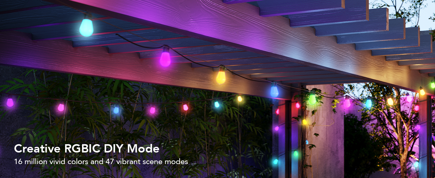 christmas outdoor