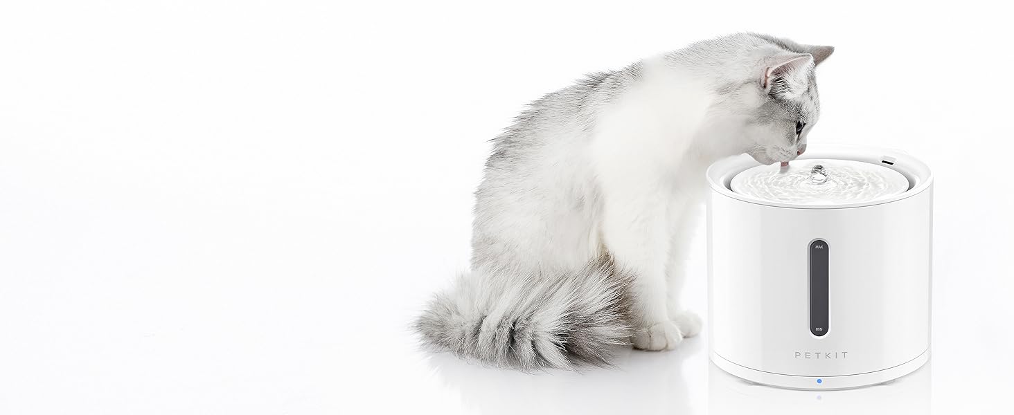 petkit cat water fountain with wireless pump