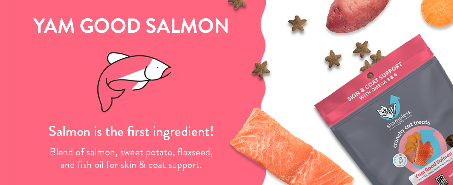 Delectable Fish Mixups Nip Bites Pate Shrimp Tasty Gravy Tub Toys Jumby Creamy Bisque Classic 