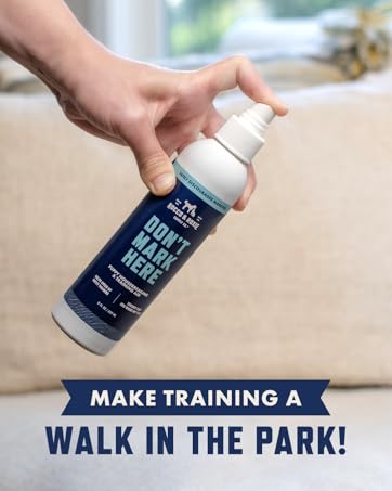 Training Aids brand story