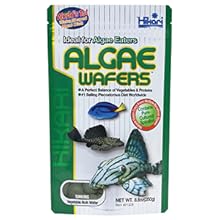 Algae Wafers