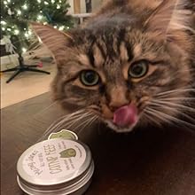 Meowy Janes Catnip Keef