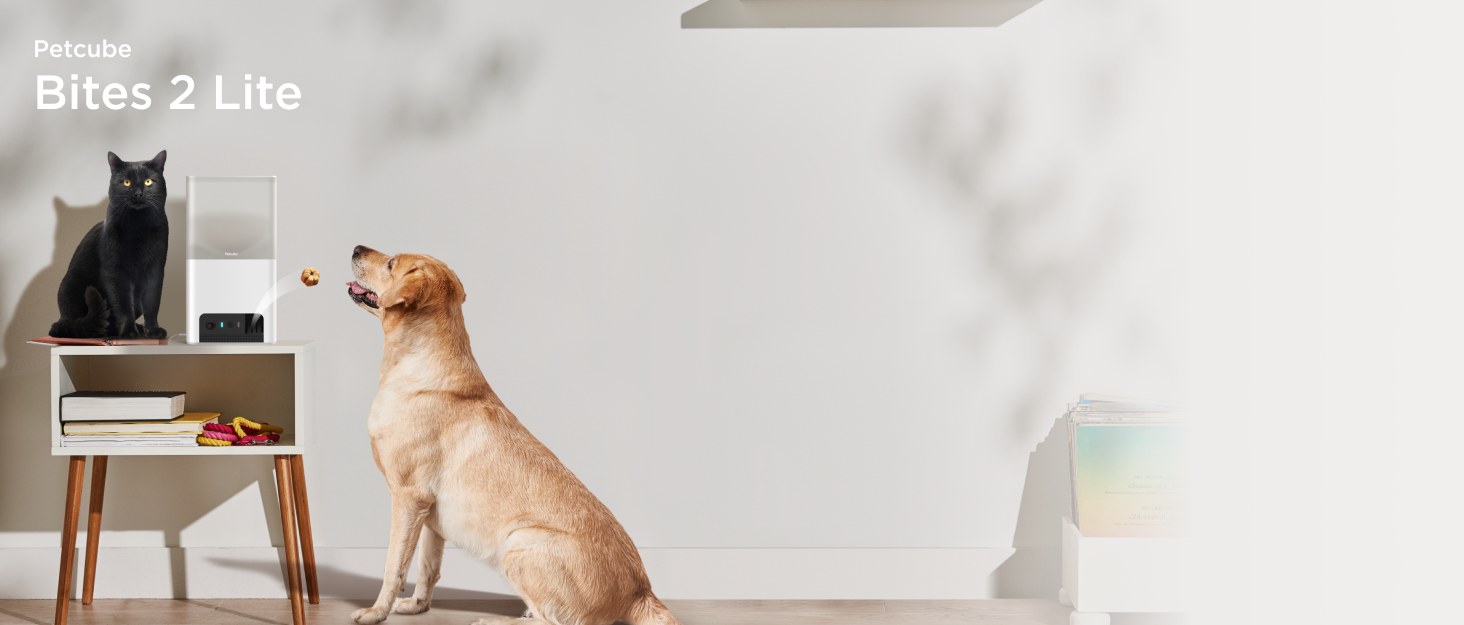 Petcube Bites 2 Lite