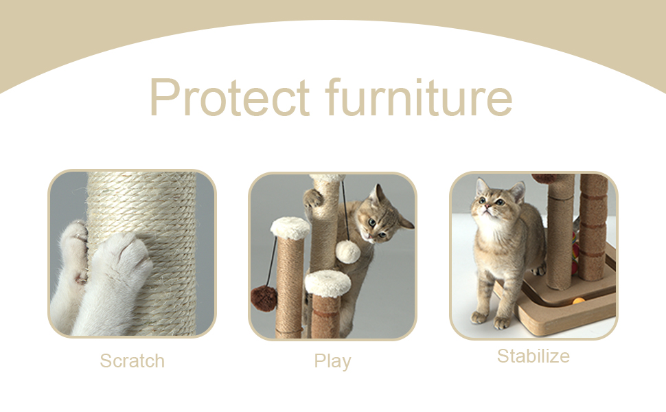 cat scratch post for indoor kittens and cats