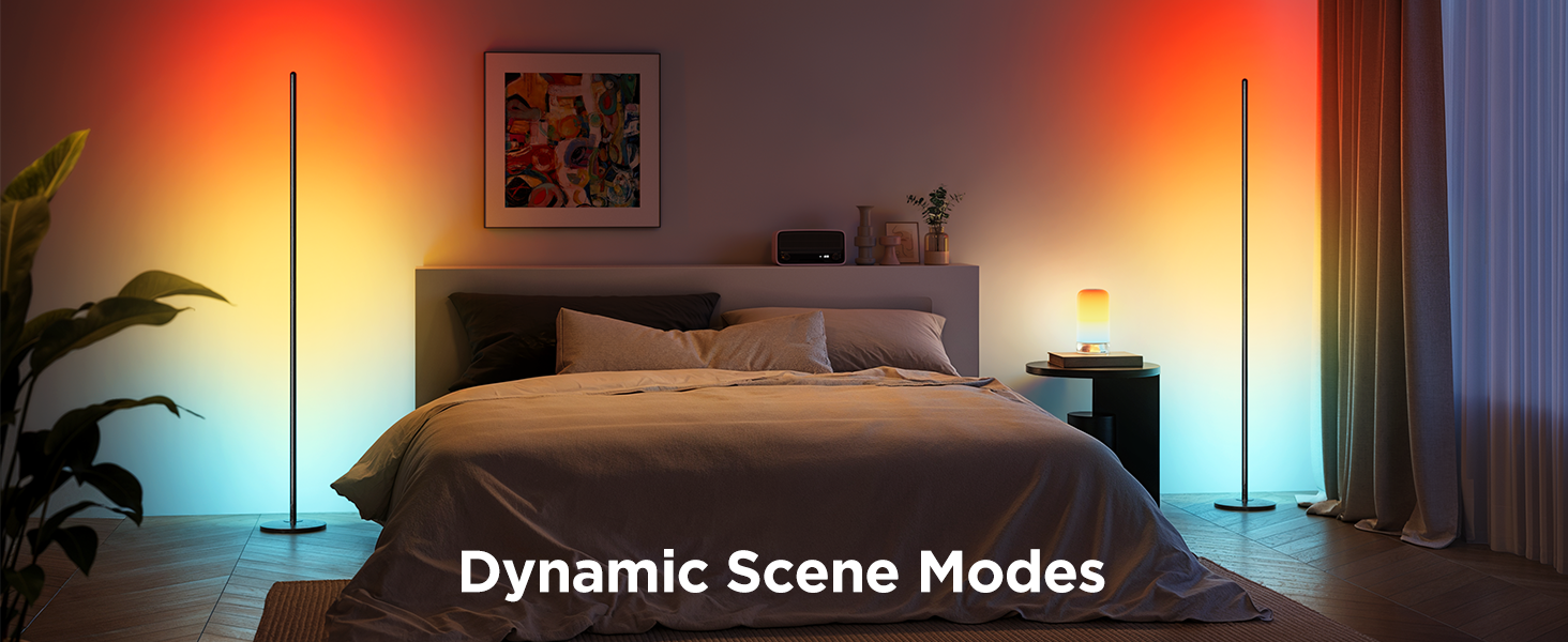 6076 scene mode