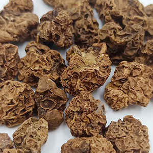 Gall Fruit