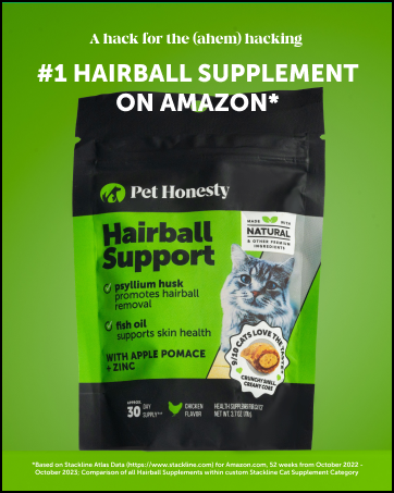 cat hairball