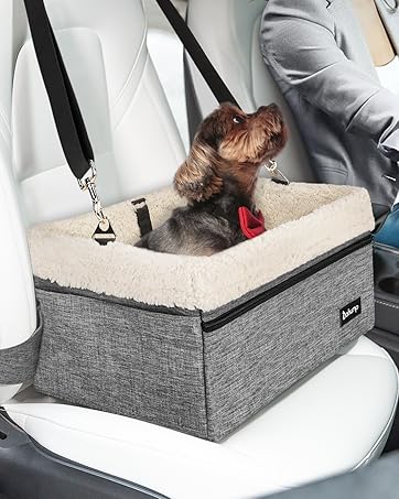 grey dog car seat