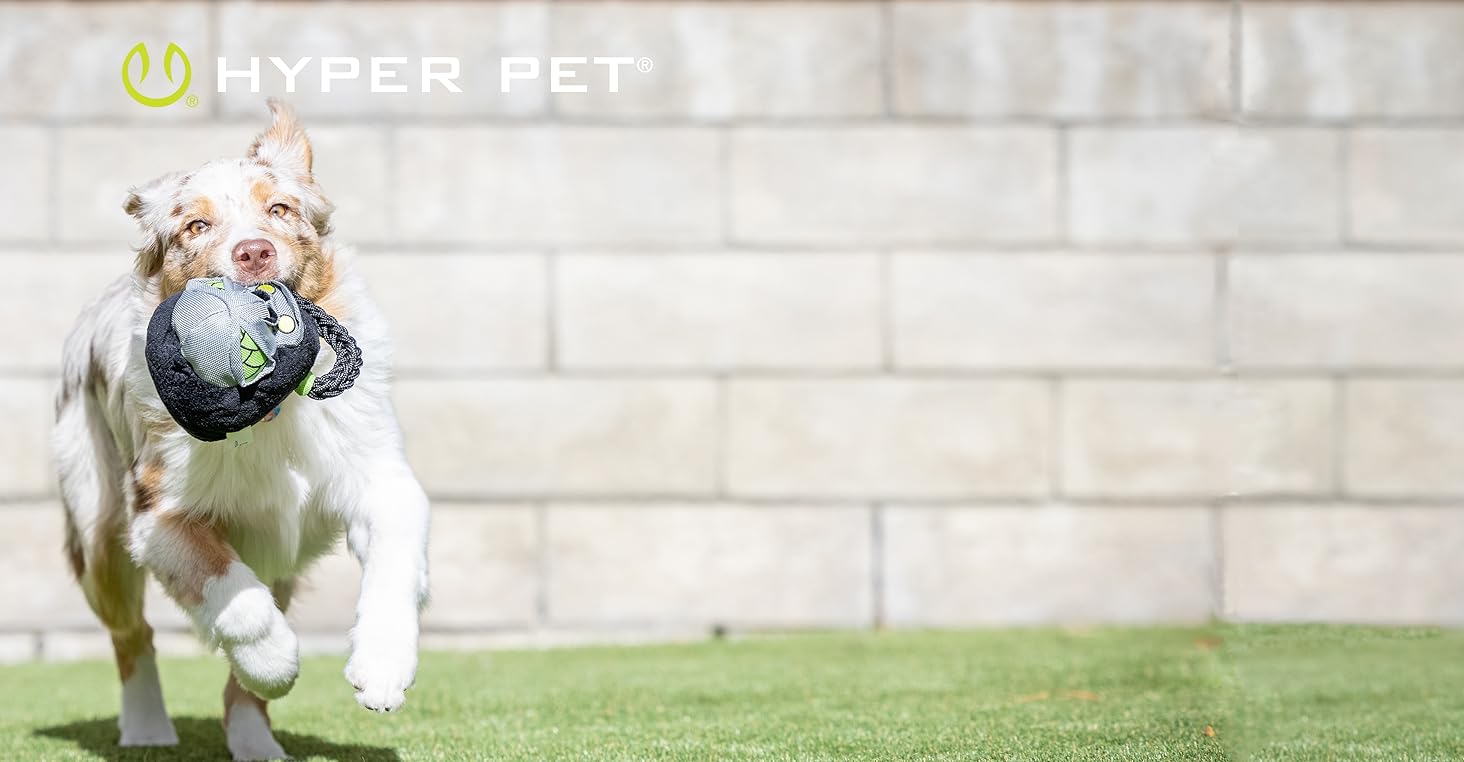 hyper pet store dog toys 