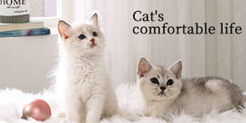 cat tree