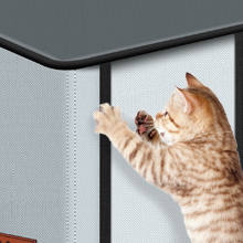 cat house