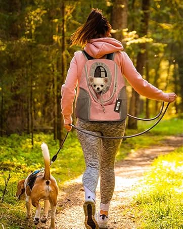 WOYYHO dog backpack