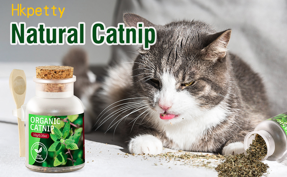 catnip