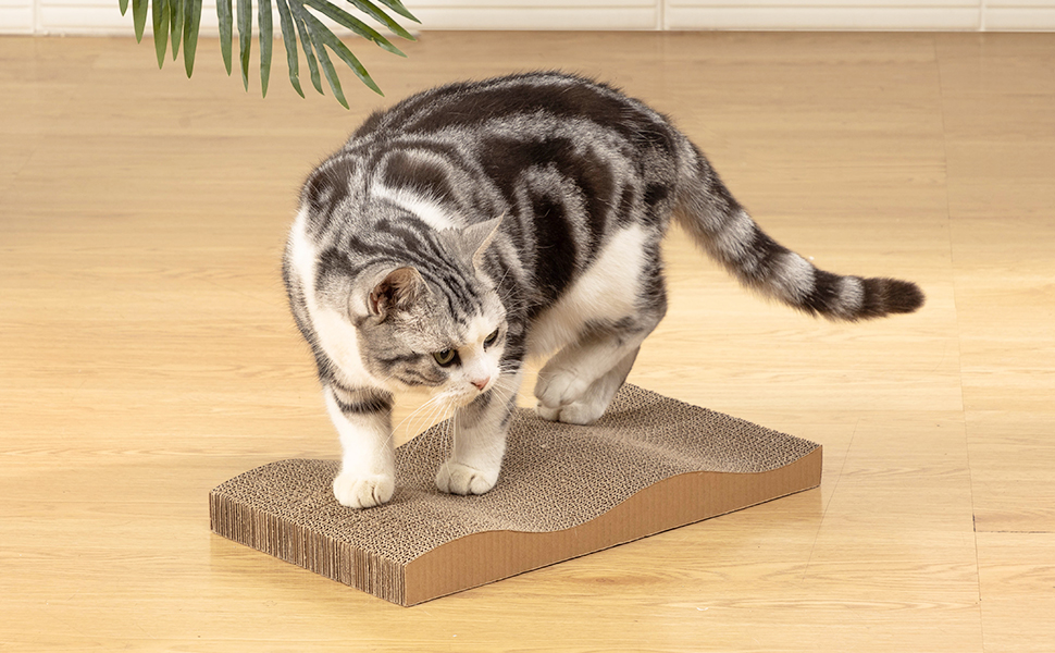 cat scratcher
