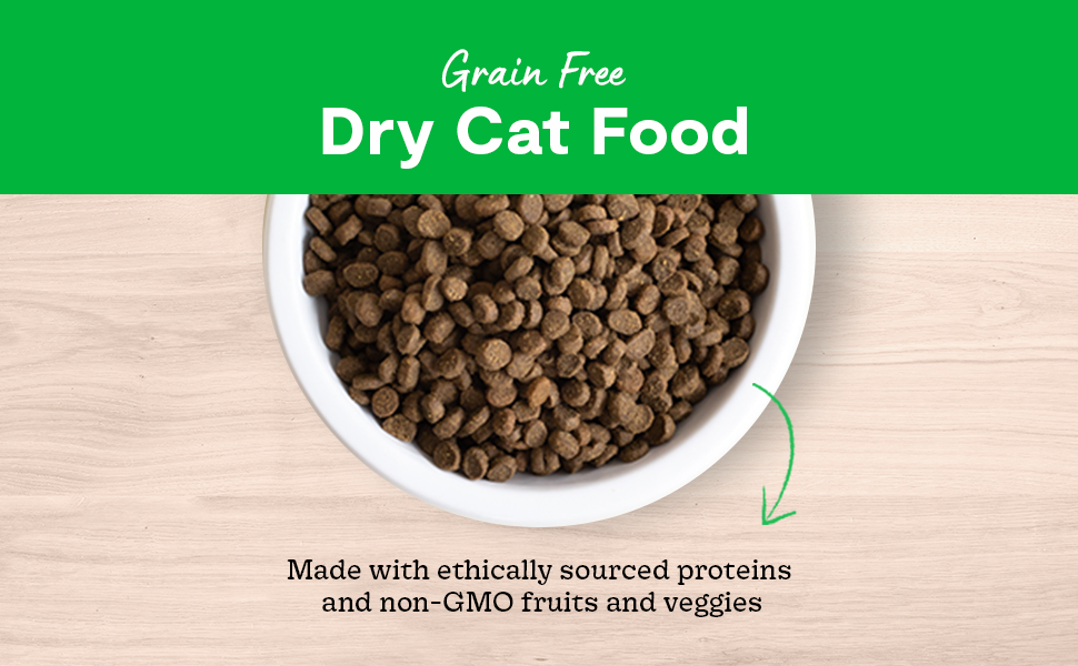 Dry Cat