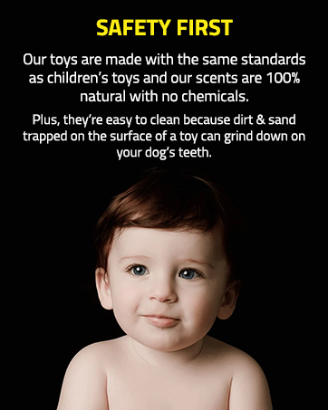 Bowls Beds Car Leashes Dogfood Crates Pens Fur Teething Kong Nylabone Bacon BBQ Plush Cat Rabbit 