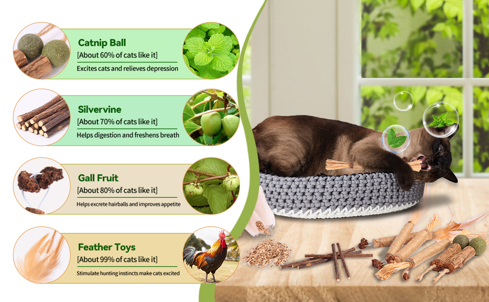 CAT TOY