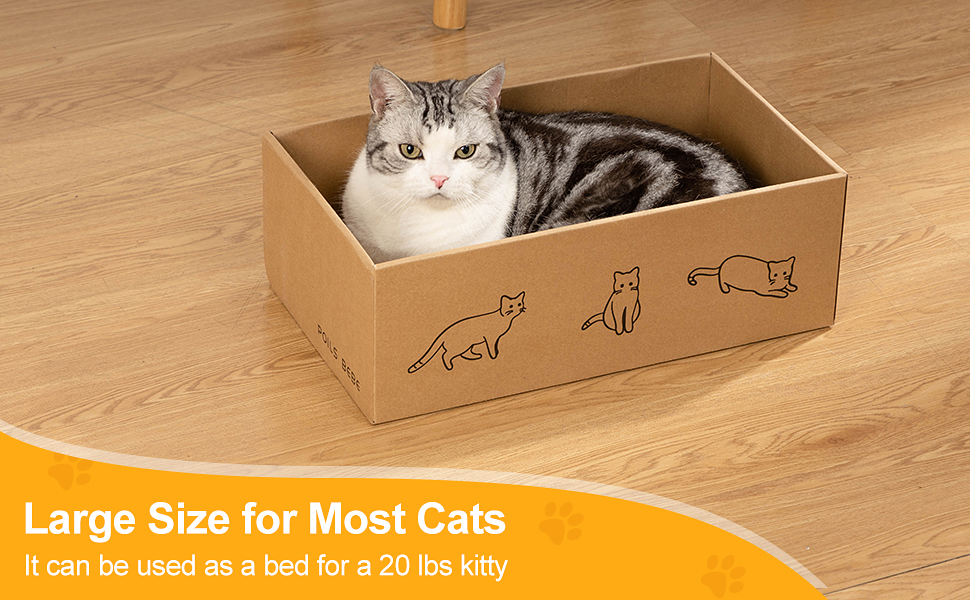 cat scratch box