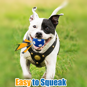 loud squeaky dog toys