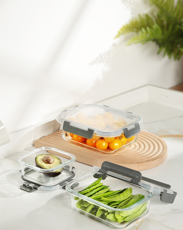 glass lunch bento box 
