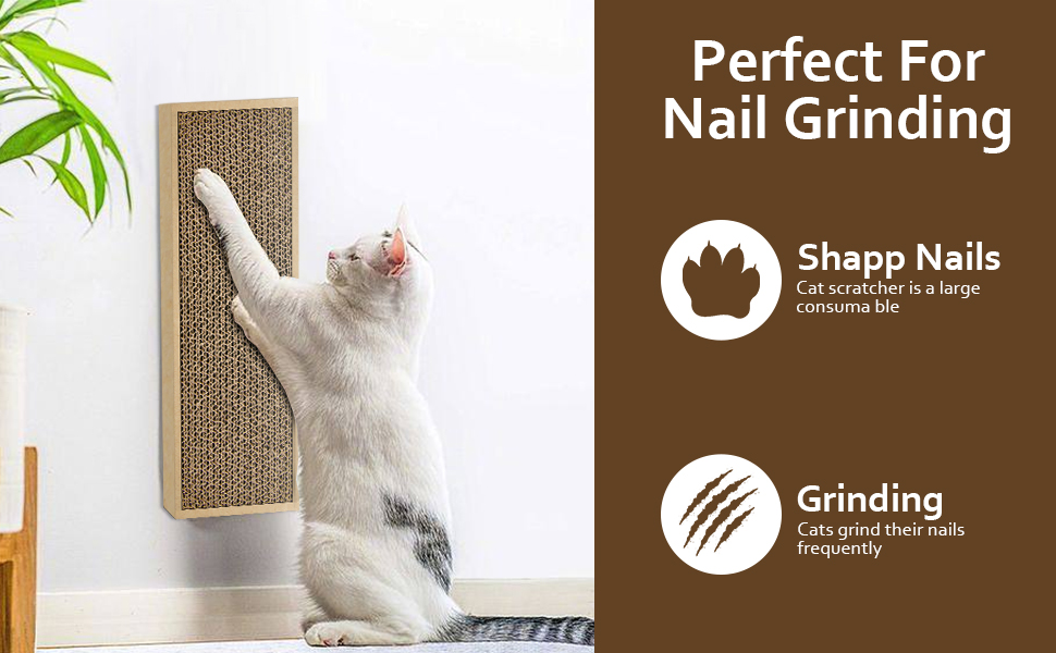 cat scratch pad