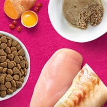 Pieces of raw chicken and salmon lay next to other fresh ingredients and bowls of pet food