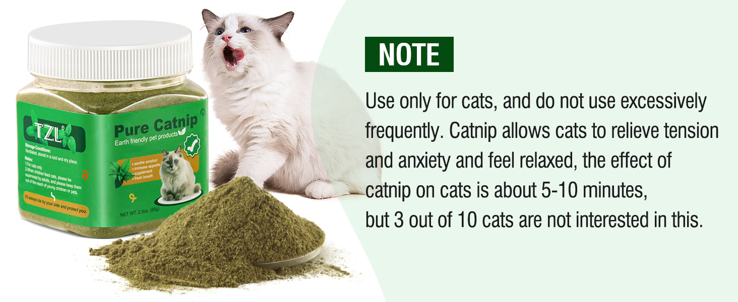 catnip for cats