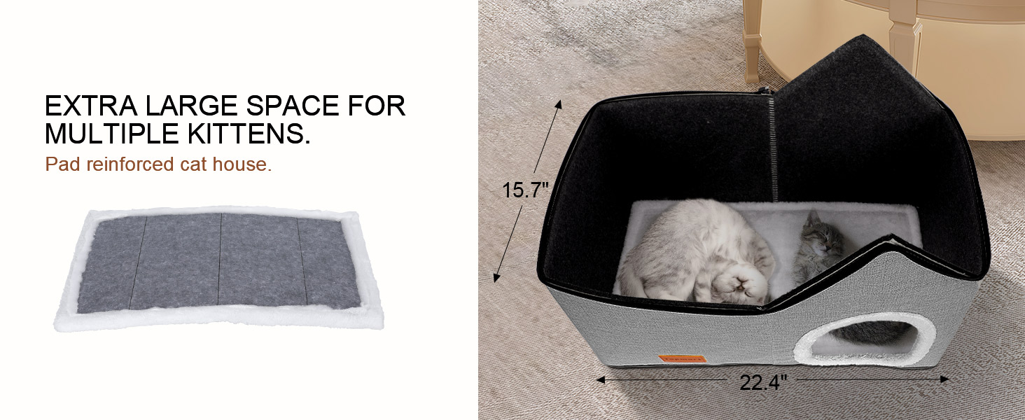 cat house 60005