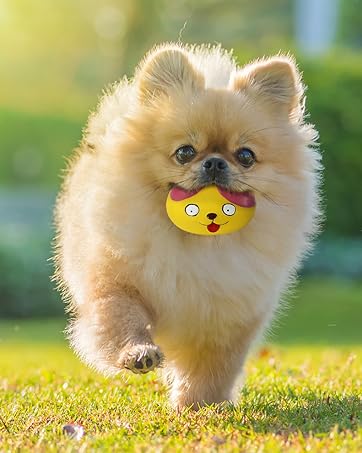 dog balls