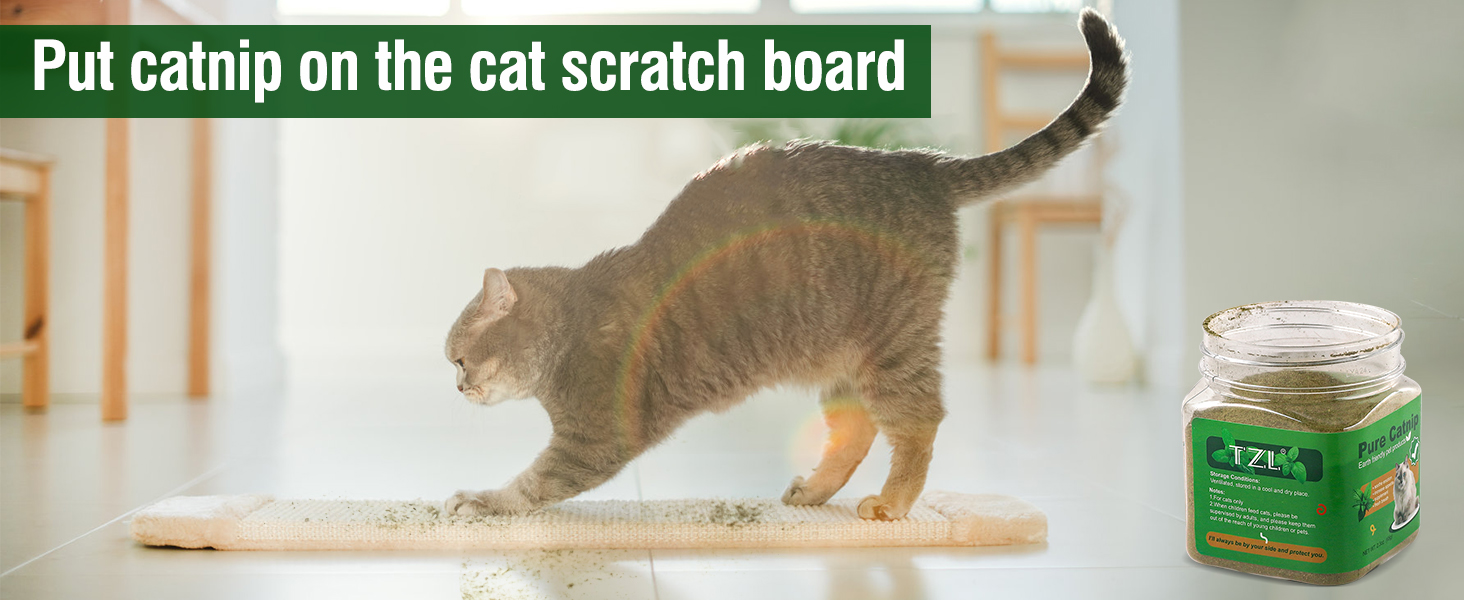 catnip for cats