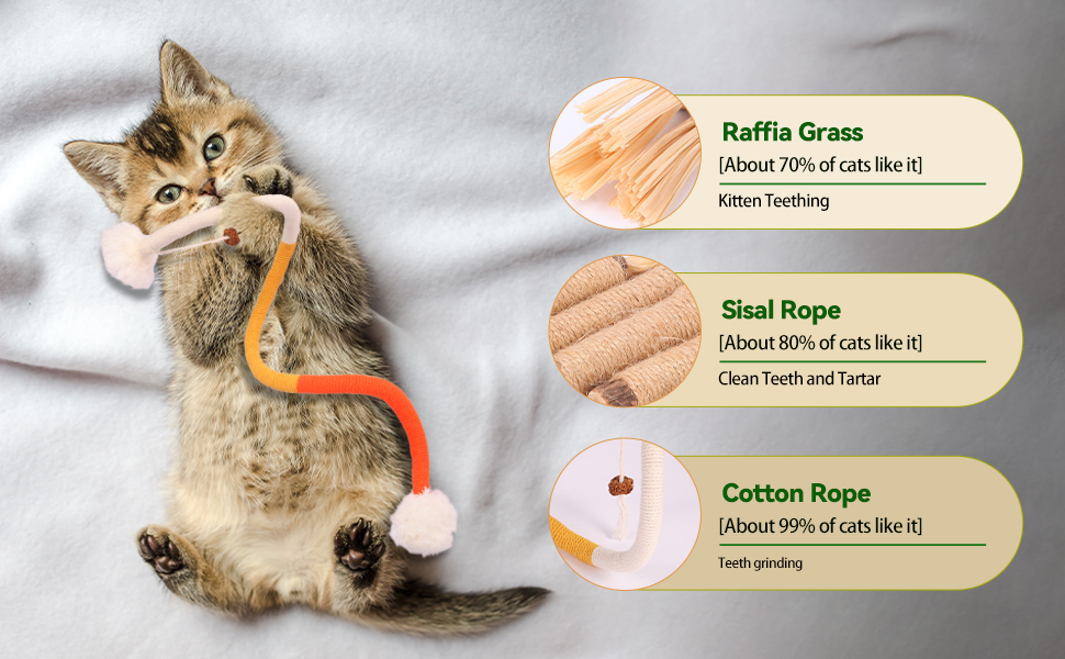 CAT TOY