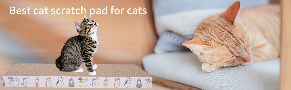 Best cat scratch pad for cats