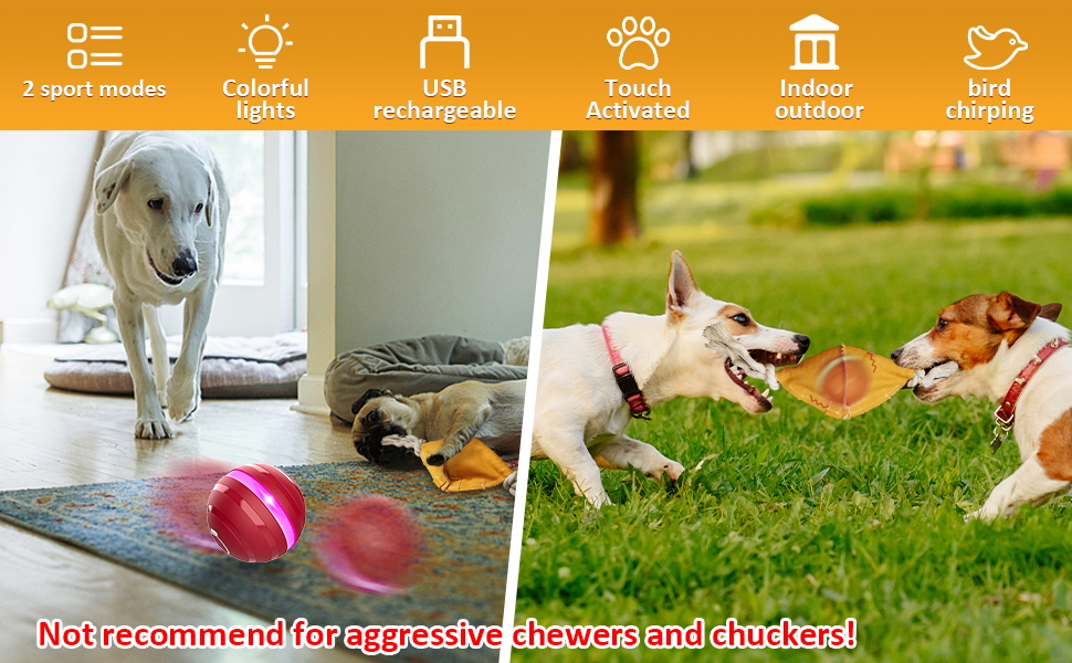interactive dog toys
