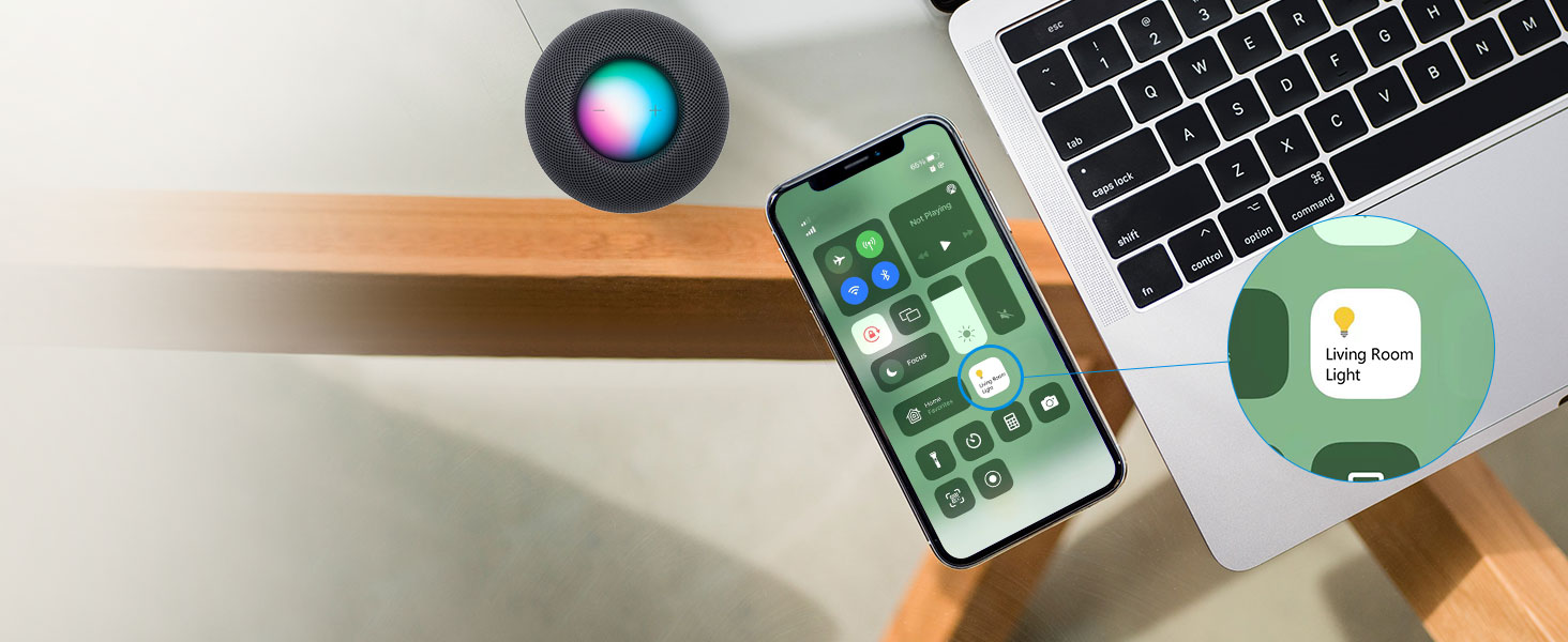 Apple HomeKit Smart switch