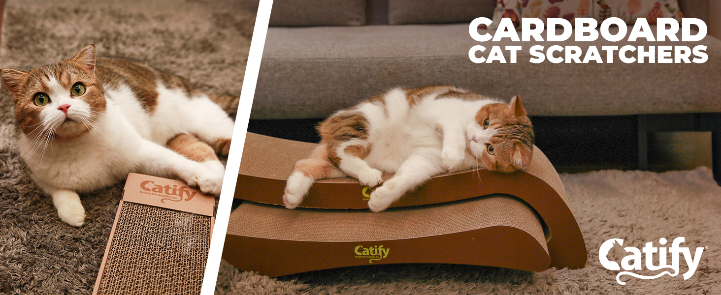 petfusion cat scratcher