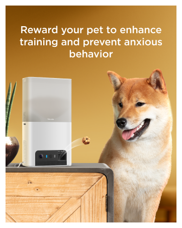 Petcube Bites 2 Lite from the brand