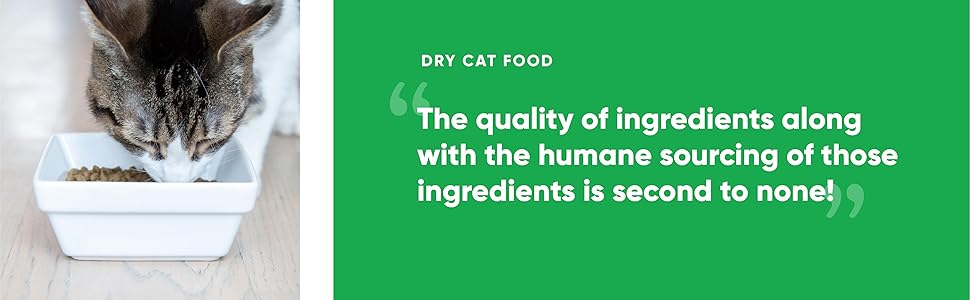 dry cat food for every stage of life vet recommended 