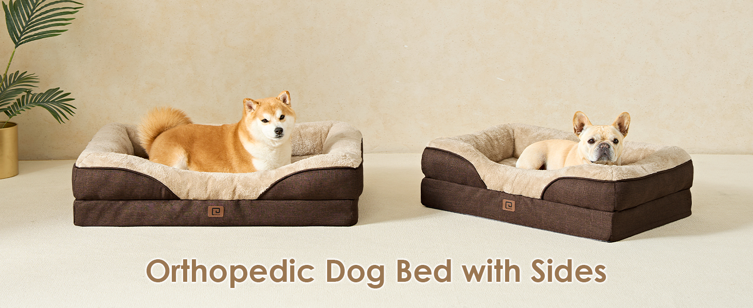 dog sofa