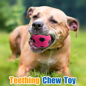 dog teething toy